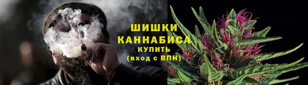 СК Волосово
