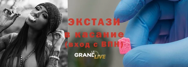 сатива Верея
