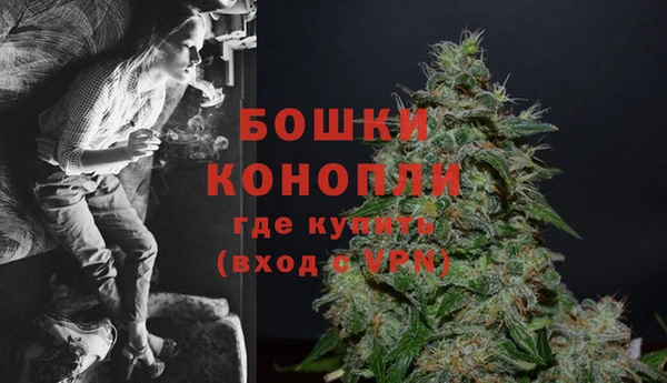 сатива Верея