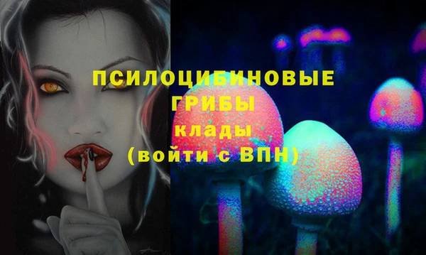 сатива Верея